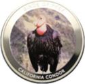 10 Kwacha (California Condor - Silver edition)