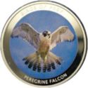 10 Kwacha (Peregrine Falcon - Silver edition)