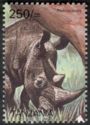 Black Rhinoceros (Diceros bicornis)
