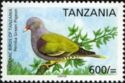 Pemba Green-pigeon (Treron pembaensis)