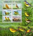 Endemic Birds of Tanzania