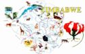 Interest Map of Zimbabwe