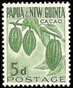 Cacao Plant