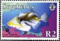 Lagoon Triggerfish (Rhinecanthus aculeatus)