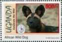 African Wild Dog (Lycaon pictus)