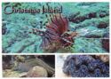 Christmas Island - Sea Life