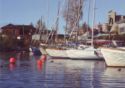 Arkhangelsk. Yacht Port in Solombala