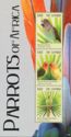 Parrots of Africa
