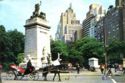 New York City, Central Park Horse Carriages