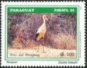 Maguari Stork (Ciconia maguari)