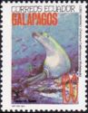 Galapagos Sea Lion (Zalophus wollebaeki)