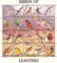 Endemic Birds