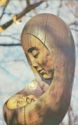 I. Zhdanov and V. Mikhailov, "Bryansk Madonna" - a fragment