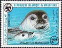 Mediterranean Monk Seal (Monachus monachus)
