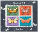 Moths of Malawi