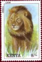 Lion (Panthera leo)