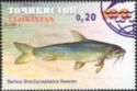 Aral Barbel (Barbus brachycephalus) - Surcharge & Overprint