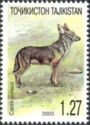 Golden Jackal (Canis aureus)