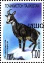 Alpine Chamois (Rupicapra rupicapra) - Overprint