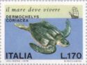 Leatherback Sea Turtle (Dermochelys coriacea)