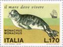 Mediterranean Monk Seal (Monachus monachus)