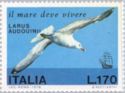 Audouin's Gull (Larus audouinii)