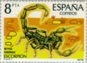 Common Yellow Scorpion (Buthus europaeus)