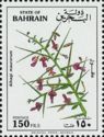 Persian mannaplant (Alhagi maurorum)