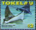 Spotted Eagle Ray (Aetobatis narinari)