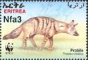 Aardwolf (Proteles cristatus)