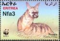 Aardwolf (Proteles cristatus)