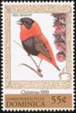 Red Bishop (Euplectes franciscanus)