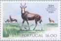 Bontebok (Damaliscus pygargus)