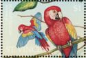 Scarlet Macaw (Ara macao)