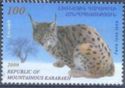 Eurasian Lynx (Lynx lynx)