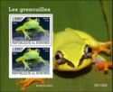 Green Bright-Eyed Frog (Boophis viridis)