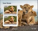 Lion (Panthera leo)