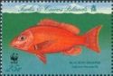 Blackfin Snapper (Lutjanus buccanella)