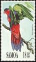 Black-capped Lory (Lorius lory)