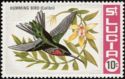 Humming Bird (Colibri) (see Description)