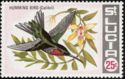 Humming Bird (Colibri) (see Description)