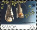 Common Samoan Flying Fox (Pteropus samoensis)