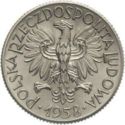 1 Złoty (PRÓBA) 