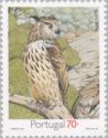 Eurasian Eagle-Owl (Bubo bubo)