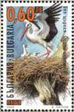 White Stork (Ciconia ciconia)