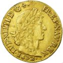 1 Louis d'or (Louis XIV - L - Bayonne)