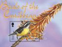 Birds of the Caribbean