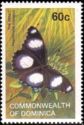 Danaid Eggfly (Hypolimnas misippus)
