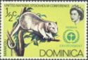 Common Opossum (Didelphis marsupialis)