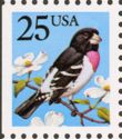 Rose-breasted Grosbeak (Pheucticus ludovicianus)